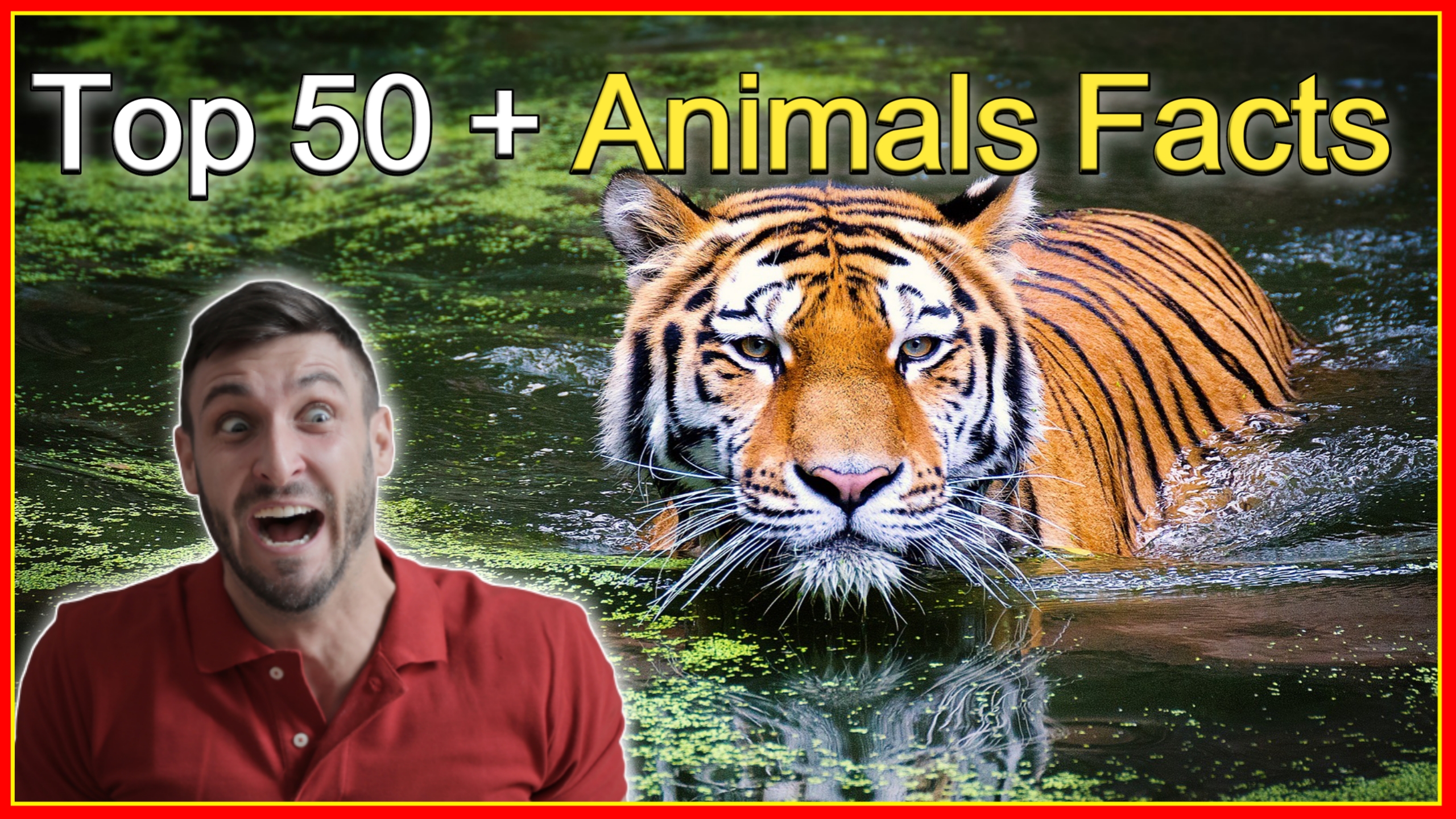 Animals Facts In Hindi