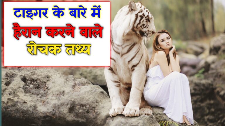 बाघों के बारे में हैरान करने वाले रोचक तथ्य: Interesting Facts About Tiger In Hindi