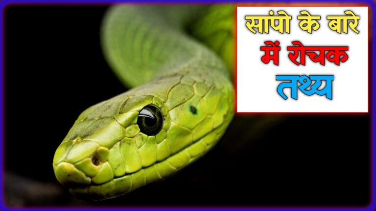 Snake Facts In Hindi: सांपों के बारे में हैरान करने वाले रोचक तथ्य
