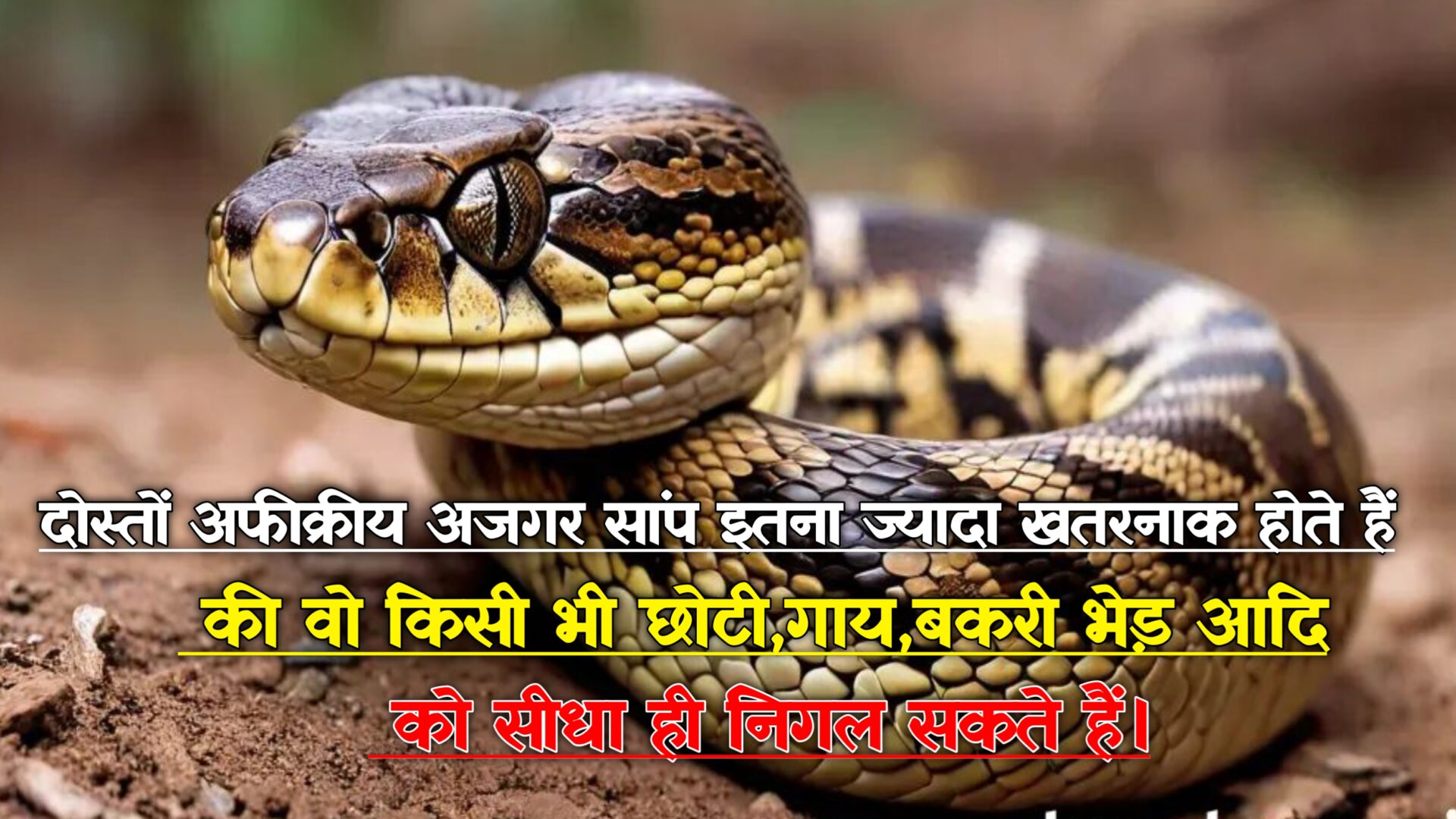 Snake Facts In Hindi: सांपों के बारे में हैरान करने वाले रोचक तथ्य 