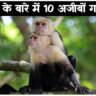 10 Amazing Facts About Animals In Hindi: जानवरों के बारे में 10 हैरान करने वाली अजीबो गरीब बाते