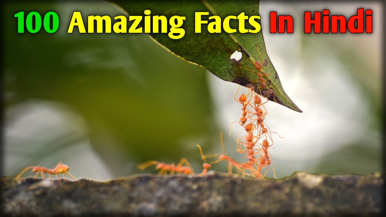 100 Amazing Facts In Hindi: 100 हैरान करने वाले रोचक तथ्य