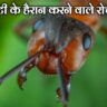 Bullet Ant Facts In Hindi: बुलेट चींटियों के बारे में हैरान करने वाले रोचक तथ्य